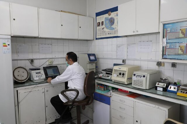 غنای مجموعه سلولی و بانک سلولی انستیتو پاستور ایران/ هزینه اهدای سلول در کشور.