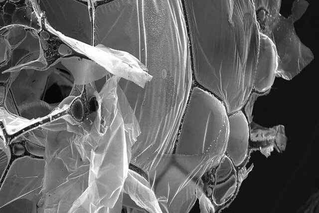 تصفیه آب با استفاده از سفیده تخممرغ!