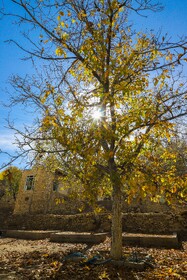روستای تاریخی برزُک