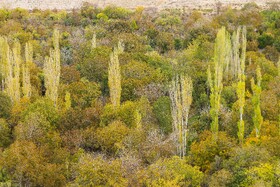 روستای تاریخی برزُک