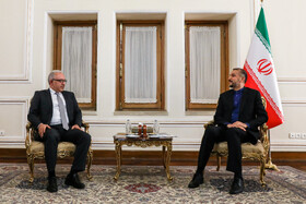 دیدار معاون وزیر امور خارجه ارمنستان با حسین امیر عبداللهیان
