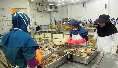 عکس تزیینی است امضای تفاهمنامه برای حمایت از اشتغال زنان روستایی/آموزش دانش آموزان دختر بازمانده از تحصیل