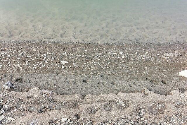 کاهش ارتفاع آب در سد ایلام به روابت تصویر