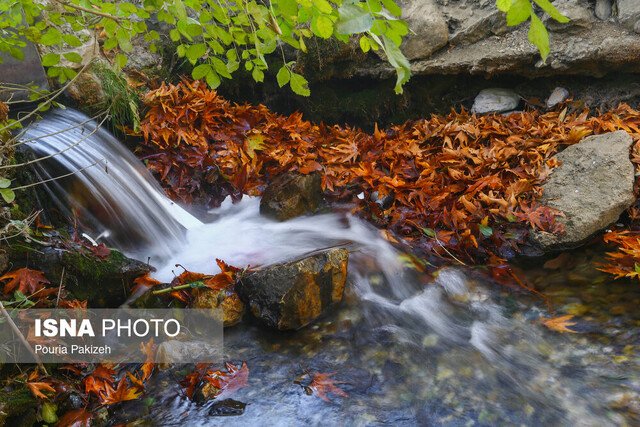 عکس آرشیوی است واگذاری مدیریت سراب "گیان" نواقص خدماتی و رفاهی آن را رفع کرد