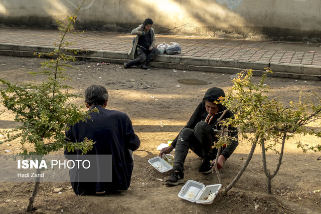 قمار «دود» و «زندگی»