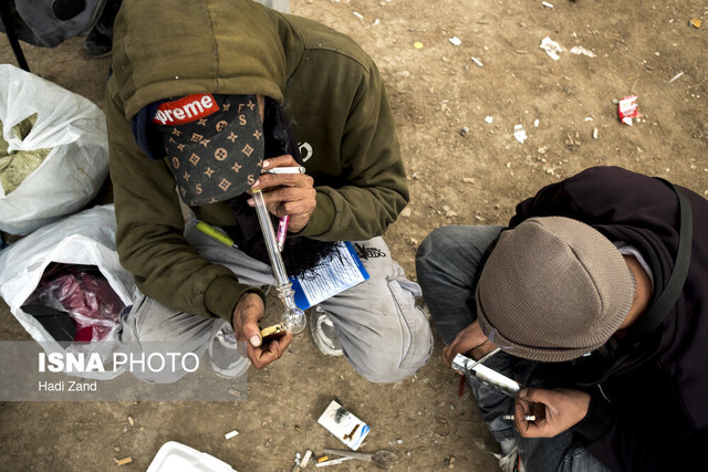 قمار «دود» و «زندگی»