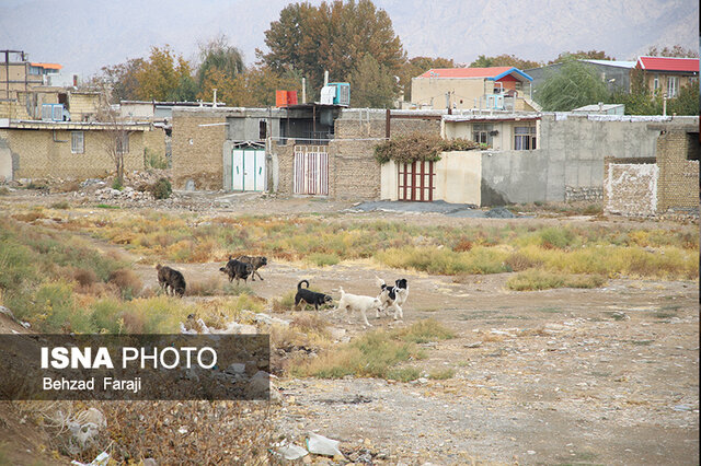 کرناچی؛ غرق در مشکلات