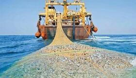 توقف صید ترال در چابهار