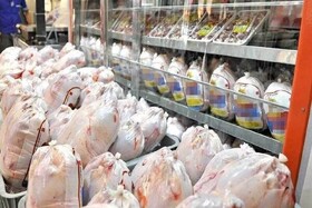 کمبودی در تأمین مرغ در آذربایجان غربی نداریم