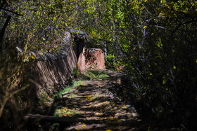 ردای قرمز پاییز بر تن ابیانه