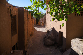 ردای قرمز پاییز بر تن ابیانه