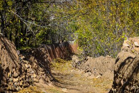 ردای قرمز پاییز بر تن ابیانه