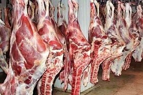 توزیع ۵۰۰ تن گوشت قرمز در بازار لرستان