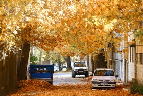 کوچه های پاییزی «شهرک مدرس» - همدان