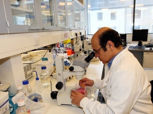 امید به توسعه درمانهای نوین به پشتگرمی سلولهای بنیادی