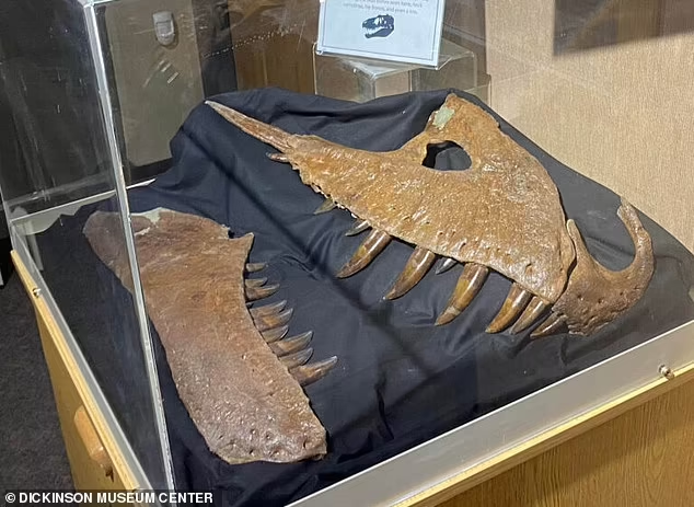 پادشاه دایناسورها کشف شد