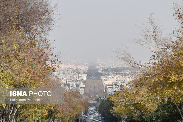 لغو مازوتسوزی مغلوب اقتصاد و سیاست نشود