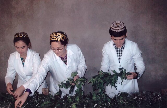 «نوغانداری و ابریشمبافی» به نام ایران و ۶ کشور دیگر ثبت جهانی شد