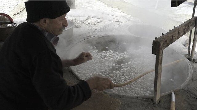 «نوغانداری و ابریشمبافی» به نام ایران و ۶ کشور دیگر ثبت جهانی شد