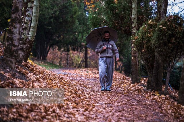 اینجا یک استودیوی روباز پاییزی است