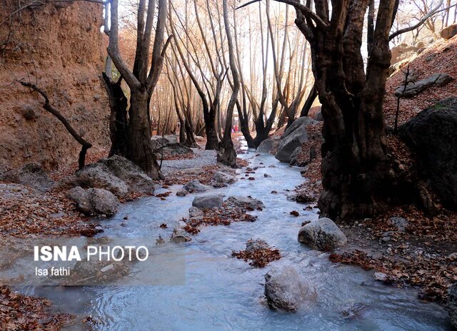 پاییز در «تنگ گنجه ای» - یاسوج