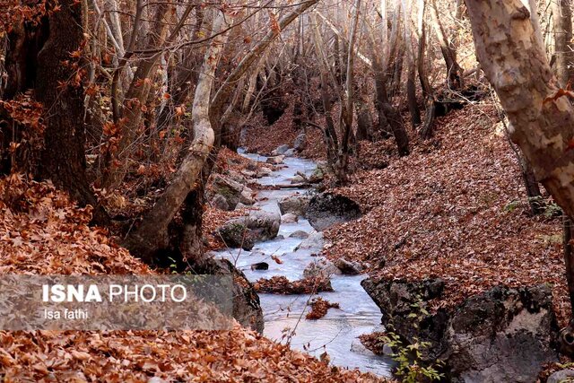 پاییز در «تنگ گنجه ای» - یاسوج