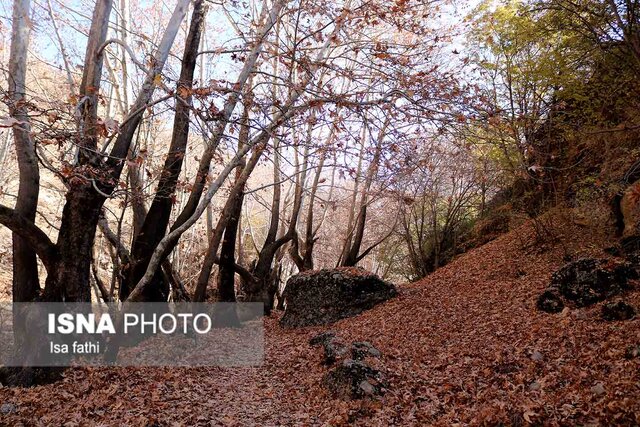 پاییز در «تنگ گنجه ای» - یاسوج