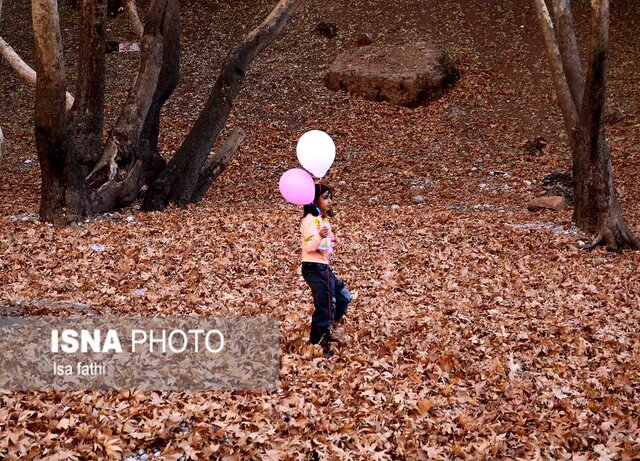 پاییز در «تنگ گنجه ای» - یاسوج