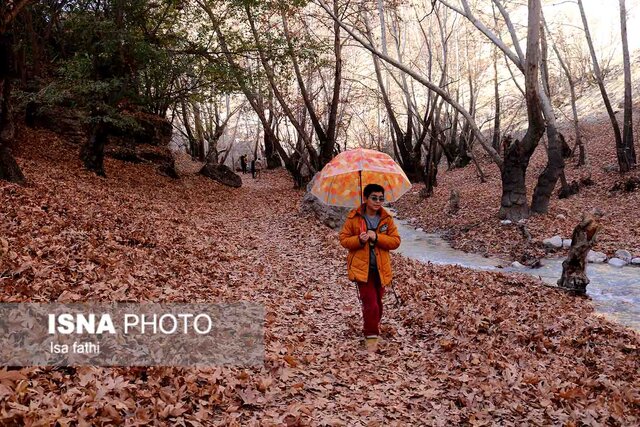 پاییز در «تنگ گنجه ای» - یاسوج