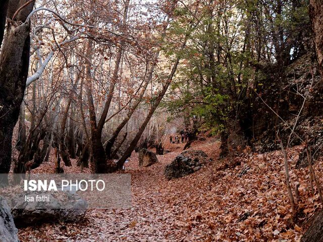 پاییز در «تنگ گنجه ای» - یاسوج