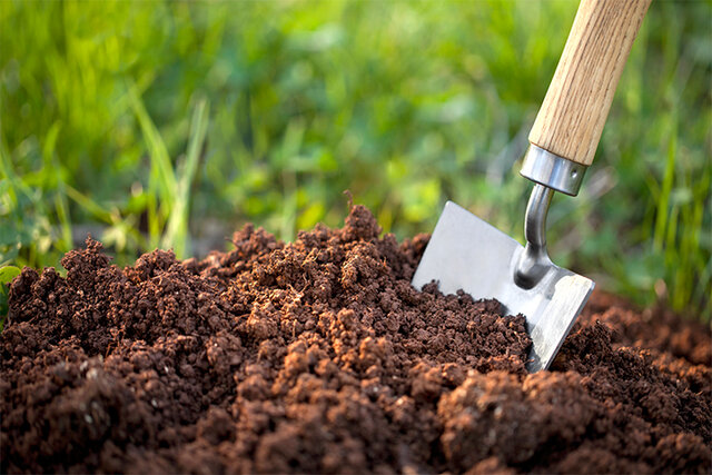 نقش حفاظت از خاک در تامین امنیت غذایی و اجتماعی
