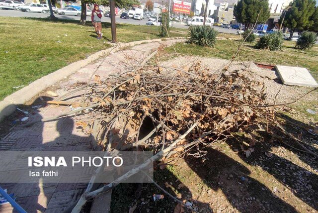 صدور ۱۲۰۰ مجوز حفاری آسفالت به آب و فاضلاب