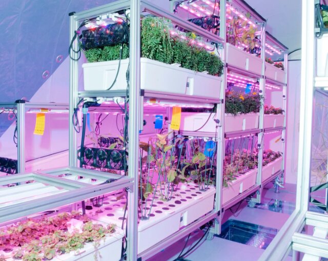 غلافهای بادی برای پرورش محصولات کشاورزی در مریخ