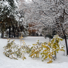 برف پاییزی تهران