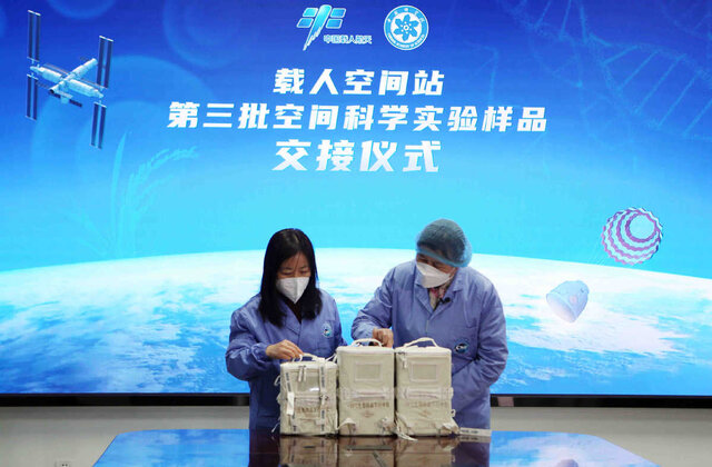 فضانوردان چینی دانههای برنج فضایی را به زمین آوردند