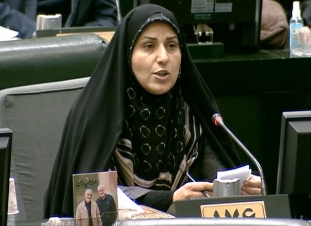 محمودی: گوش شنوایی درباره کشتار دامهای مولد وجود ندارد محمودی: گوش شنوایی درباره کشتار دامهای مولد وجود ندارد