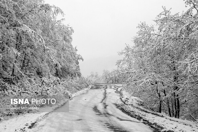 بارش برف اکثر استان های کشور را سفیدپوش کرد/یخ‌زدگی و لغزندگی جاده‌ها دور از انتظار نیست