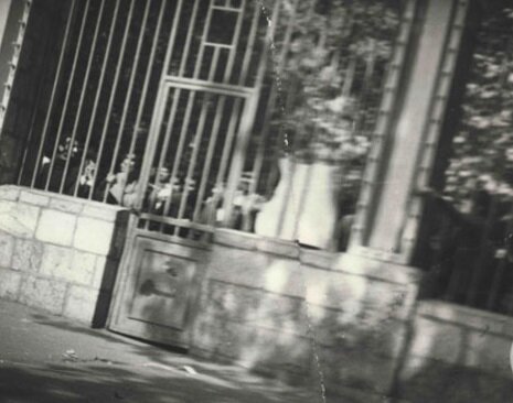 69 سال گذشت؛ تاریخ از «روز دانشجو» چه میگوید؟