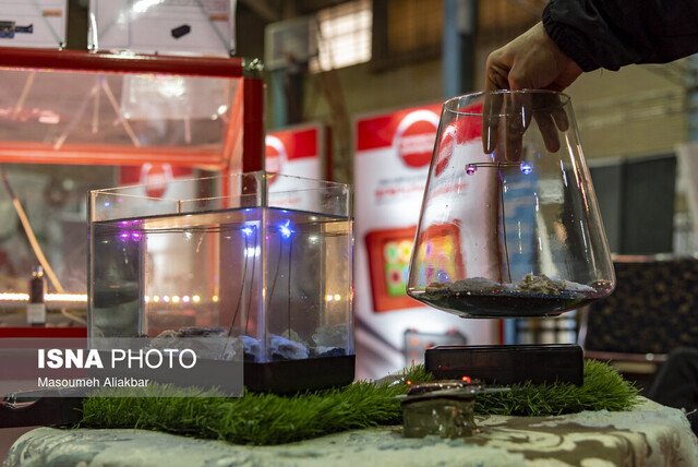 قانون جهش باید به سوی نوآوری دانشگاهی حرکت کند