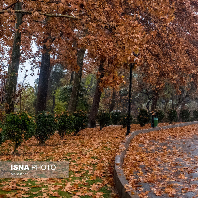 تصویری از پاییز ایران روی دیوار می‌رود