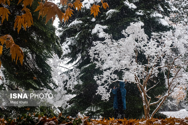 پیش بینی بارش متناوب برف و باران در آذربایجان غربی