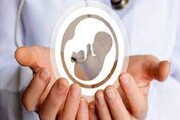 دو هزار نفر در استان مرکزی در حوزه خدمات ناباروری نشان‌دار شده‌اند