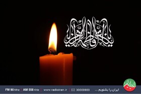 ایام فاطمیه فرصتی برای تبیین ابعاد شخصیتی حضرت فاطمه (س) است 