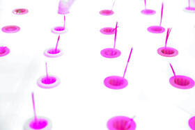 آغاز به کار دو نمایشگاه فناوری