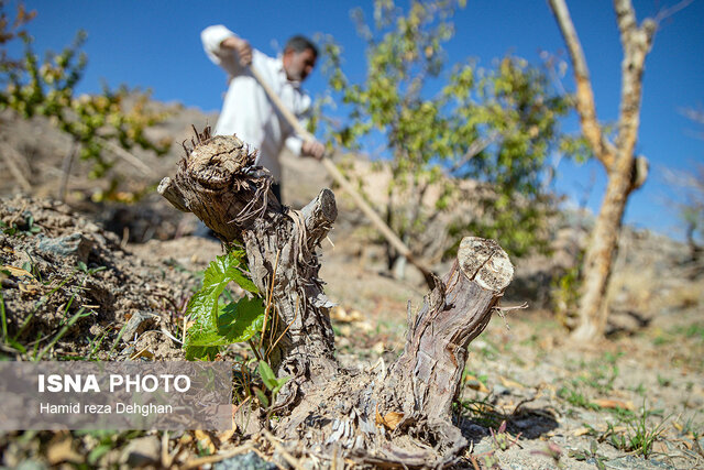نجات روستاهای بهاباد از بحران آبی با احیای قنوات