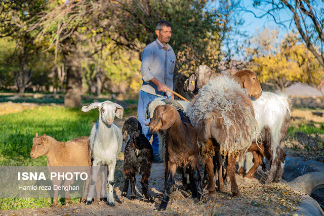 نجات روستاهای بهاباد از بحران آبی با احیای قنوات