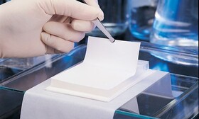 برگزاری کارگاه وسترن بلات