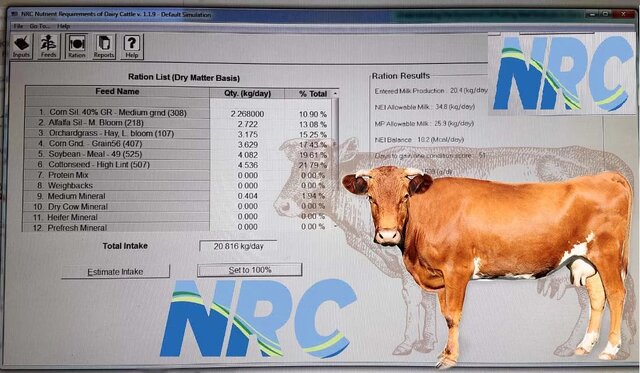 جیره نویسی گاوهای شیری با استفاده از نرم افزار NRC 