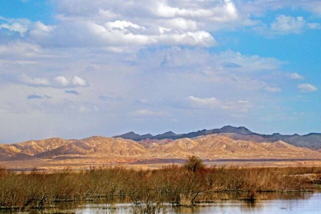 تالاب بندعلیخان آخرین وضعیت تالاب بندعلیخان