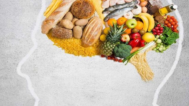 تاثیر غذاها در بهبود مشکلات حافظه و تمرکز تاثیر غذاها در بهبود مشکلات حافظه و تمرکز